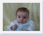 DSC01110 * 2304 x 1728 * (1.87MB)