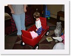 DSC03463 * 2048 x 1536 * (1.55MB)