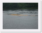 DSC04291 * 2048 x 1536 * (1.53MB)