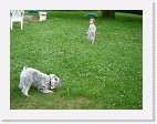 DSC04414 * 2048 x 1536 * (1.5MB)