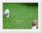 DSC04417 * 2048 x 1536 * (1.48MB)