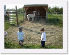 DSC04682 * 2048 x 1536 * (1.49MB)