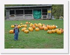 DSC04749 * 2048 x 1536 * (1.5MB)
