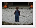 DSC04755 * 2048 x 1536 * (1.4MB)