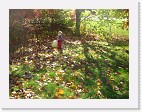 DSC04804 * 2048 x 1536 * (1.47MB)