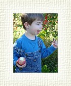 DSC07002 * 1536 x 2048 * (1.44MB)