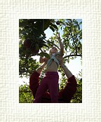 DSC07013 * 1536 x 2048 * (1.43MB)
