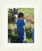DSC07017 * 1536 x 2048 * (1.43MB)