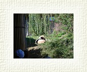 DSC07070 * 2048 x 1536 * (1.48MB)