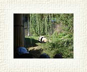 DSC07071 * 2048 x 1536 * (1.44MB)