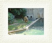 DSC07094 * 2048 x 1536 * (1.55MB)