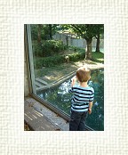 DSC07101 * 1536 x 2048 * (1.4MB)