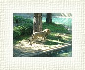 DSC07103 * 2048 x 1536 * (1.37MB)