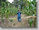 DSC02163 * 3264 x 2448 * (2.61MB)