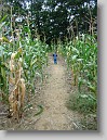 DSC02167 * 2448 x 3264 * (2.29MB)